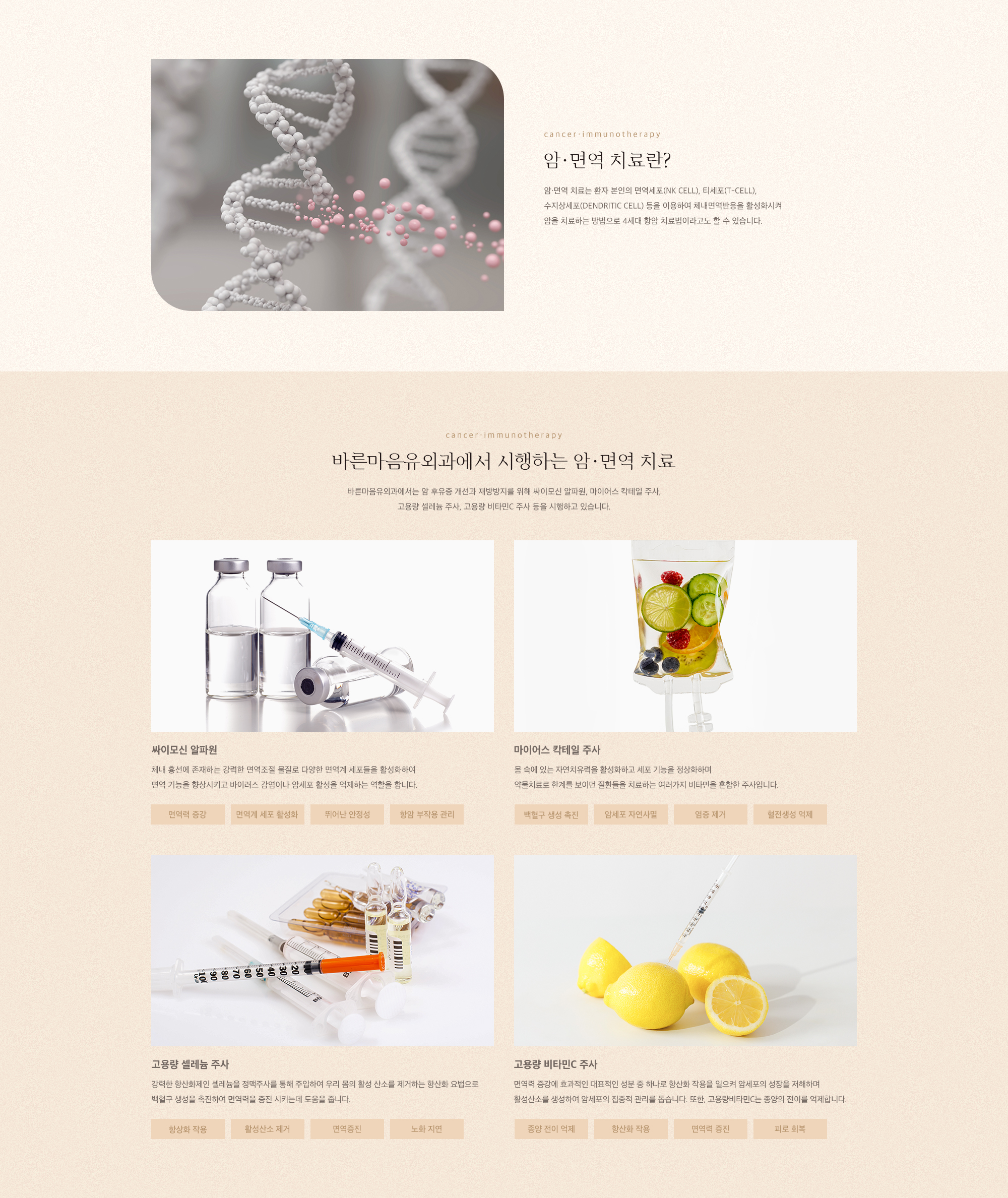 암 면역 치료